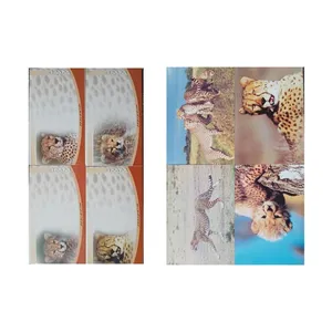 تمبر یادگاری مدل گونه های در حال انقراض مجموعه 8 عددی