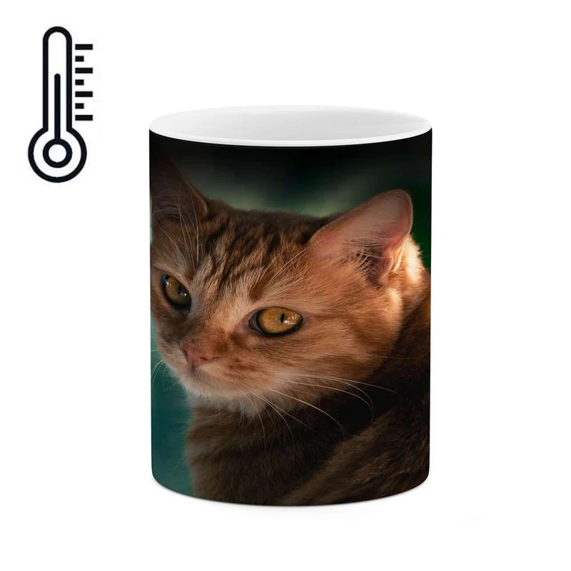 ماگ حرارتی کاکتی مدل گربه کد mgh14370