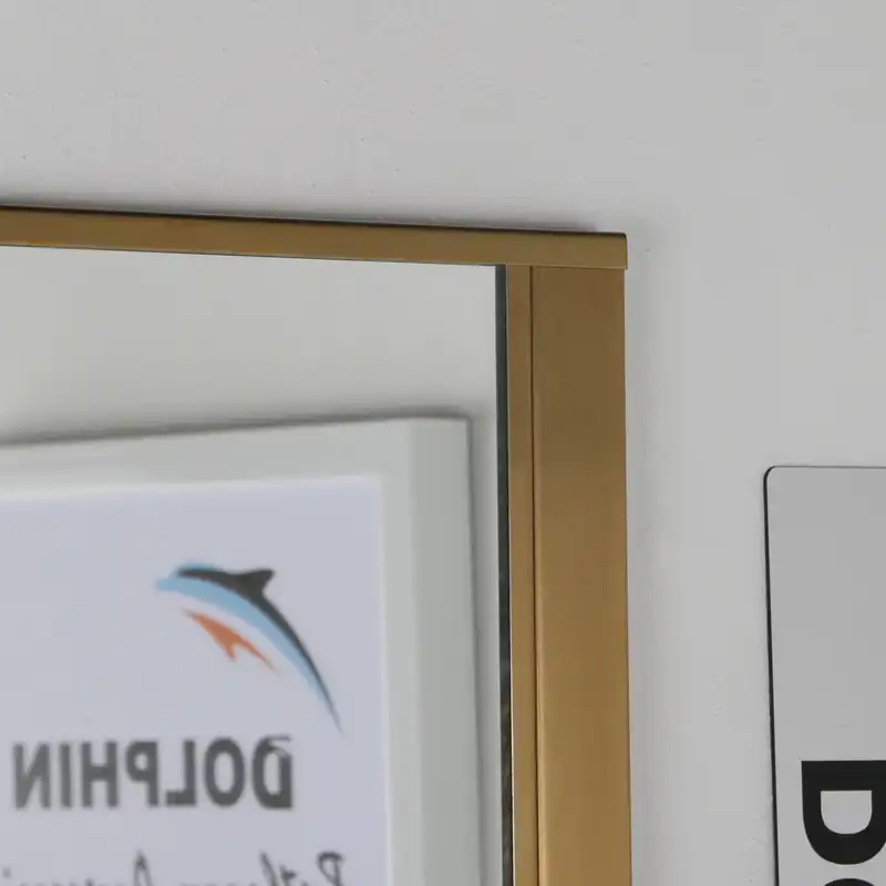 آینه سرویس بهداشتی دلفین مدل Est-6050-SG