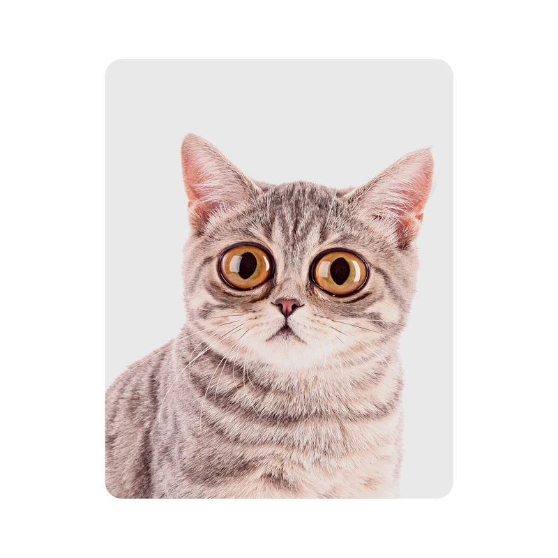 ماوس پد اطلس آبی طرح گربه چشم درشت  مدل T5832