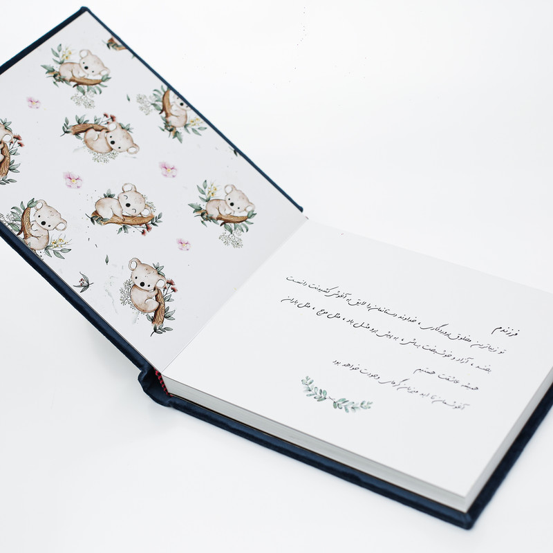 آلبوم عکس مدل 16x21-PLX-1011