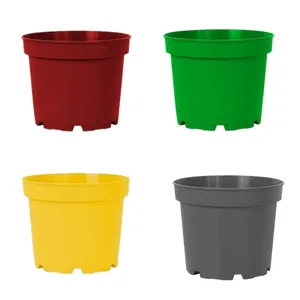  گلدان طرح پاچیرا 19cmبسته 4 عددی