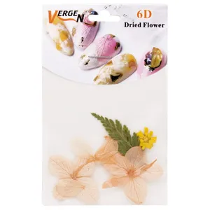 استیکر طراحی ناخن ورژن مدل GS124