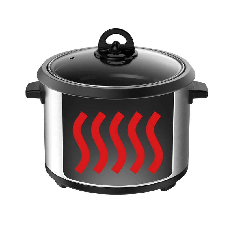 عکس شماره 6 : پلوپز 6 نفره مولینکس مدل mk123d27