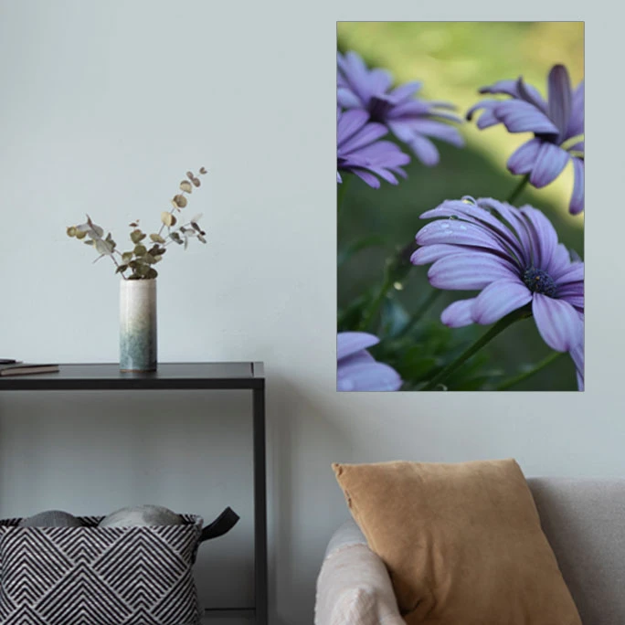 پوستر گوفی مدل والپیپر گل مینا طرح طبیعت و گردشگری Nature Flower Daisy 4K کد FLWR11