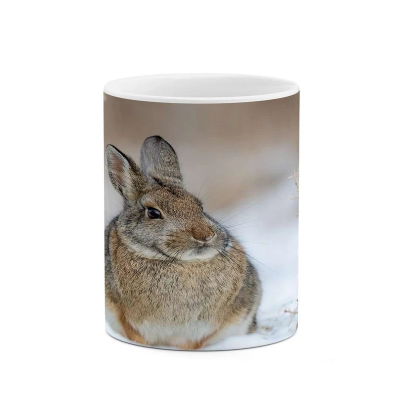 ماگ کاکتی مدل خرگوش کد mgh14170