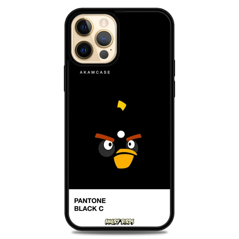 کاور آکام مدل AMC-WA12PRO-ANGRY BIRDS9 مناسب برای گوشی موبایل اپل iPhone 12 Pro