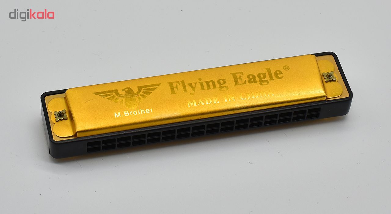 سازدهنی دیاتونیک مدل Flying Eagle 2