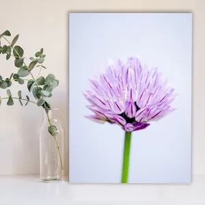 Starboy Gallery Purple Flower Amazing 105 Tableau