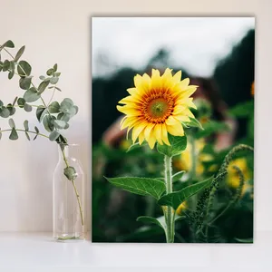 Starboy Gallery Sunflowers Amazing 106 Tableau