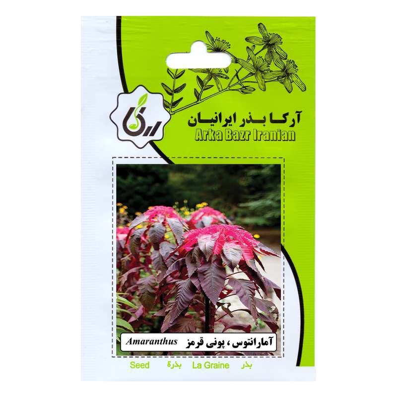 بذر گل آمارانتوس پونی قرمز آرکا بذر ایرانیان کد 167-ARK