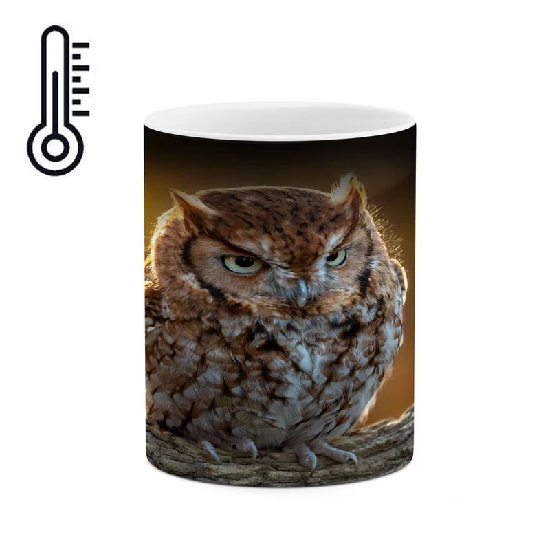 ماگ حرارتی کاکتی مدل جغد کد mgh15412