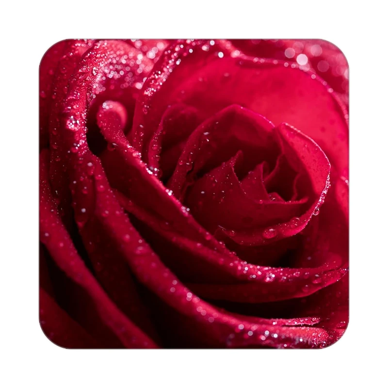 زیر لیوانی کاکتی طرح گل مدل mp16770