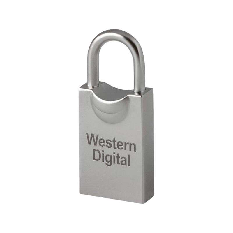 فلش مموری وسترن دیجیتال مدل My Lock ظرفیت 32 گیگابایت