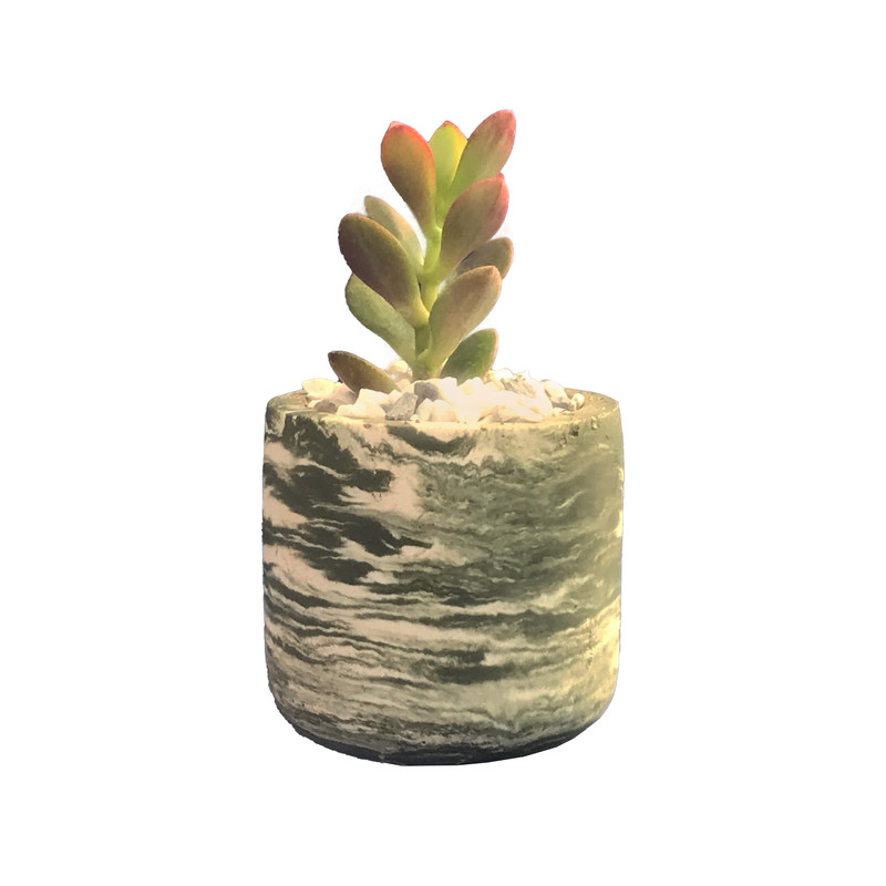 گیاه طبیعی کاکتوس ساکولنت کراسولا قاشقی مدل S-10 گیاه طبیعی کاکتوس ساکولنت کراسولا قاشقی مدل S-10