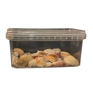 صدف تزیینی مدل مینیاتوری کد ss11 وزن 100 گرم