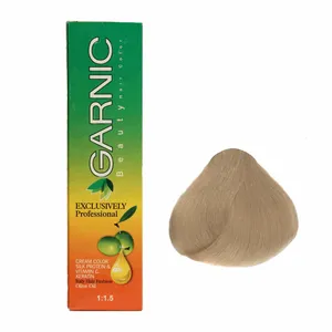 کیت رنگ موی گارنیک سری خاکستری - بلوند خاکستری خیلی روشن شماره 9.1
