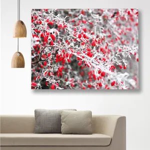 Starboy Gallery Winter Amazing 119 Tableau