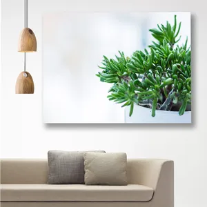 Starboy Gallery Cactus Amazing 120 Tableau