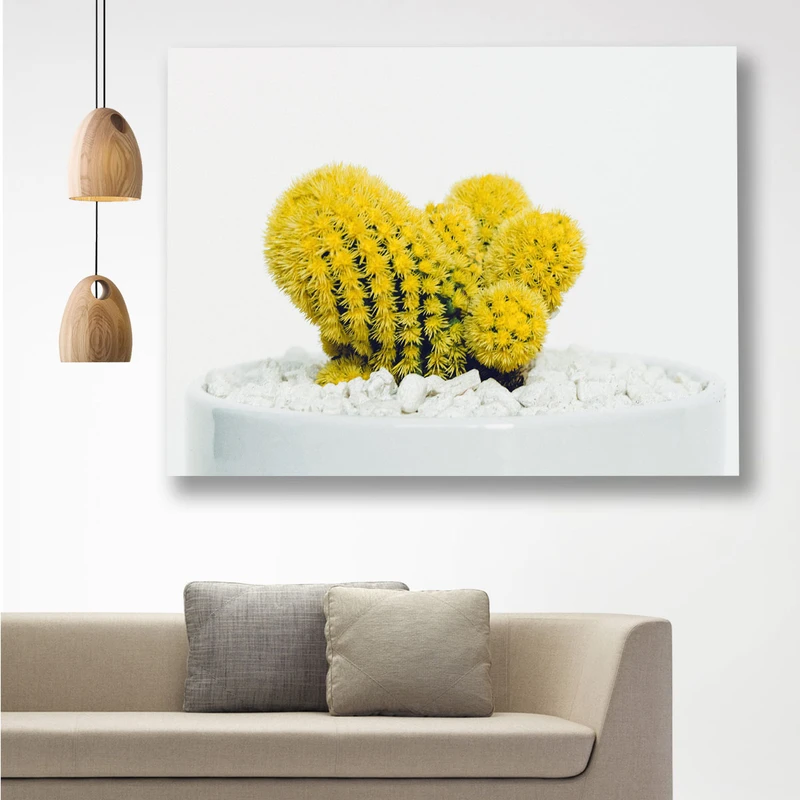 تابلو شاسی گالری استاربوی طرح کاکتوس مدل Amazing 121