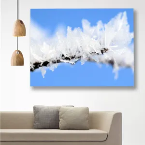 Starboy Gallery Winter Amazing 122 Tableau