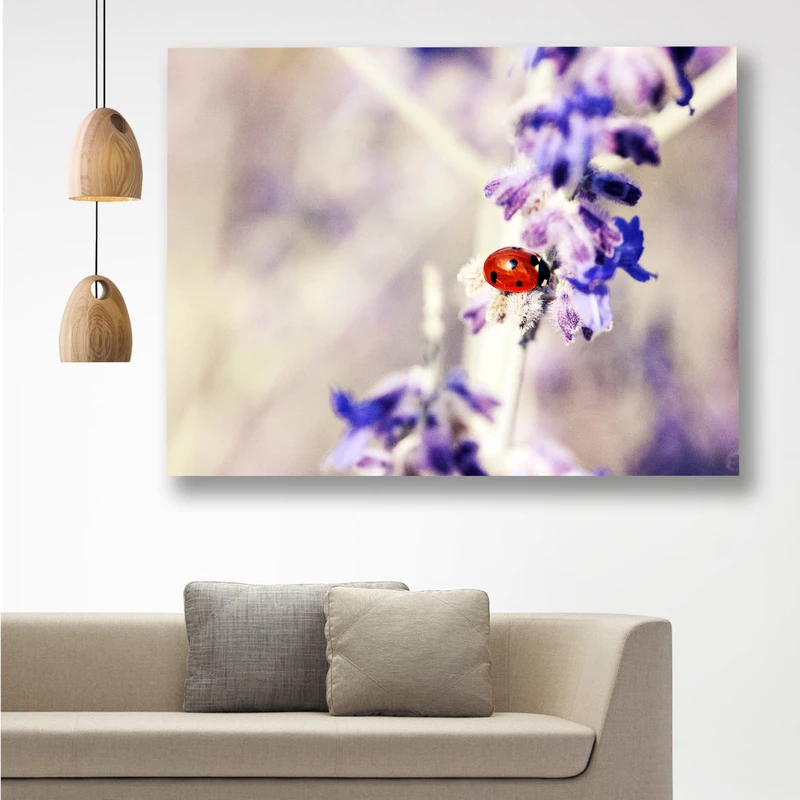 تابلو شاسی گالری استاربوی طرح کفش دوزک مدل Amazing 125