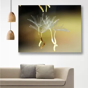 Starboy Gallery Dandelion Amazing 127 Tableau