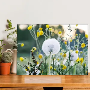 Starboy Gallery Dandelion Amazing 135 Tableau