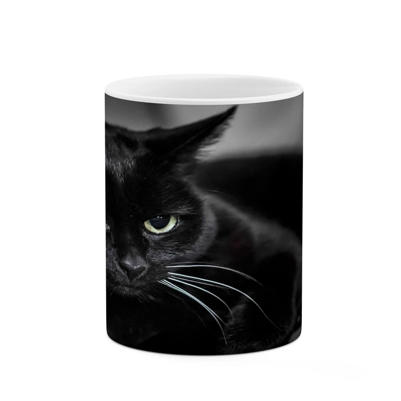 ماگ کاکتی مدل گربه کد mgh17392