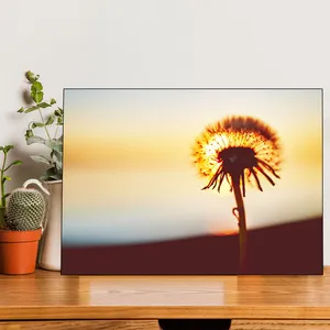 Starboy Gallery Dandelion Amazing 138 Tableau