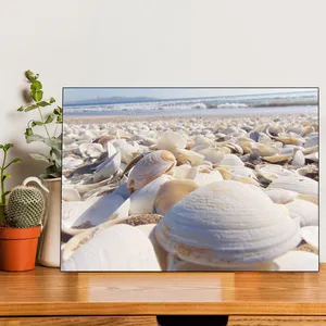 Starboy Gallery Sea Shell Amazing 139 Tableau