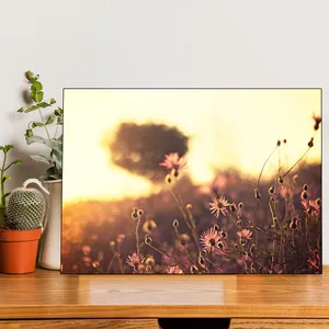 Starboy Gallery Nature And Wild Flower Amazing 143 Tableau