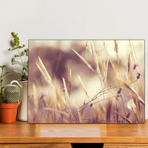 Starboy Gallery Farm Amazing 144 Tableau