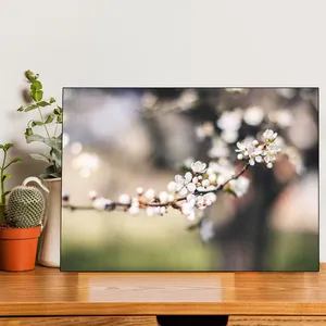 Starboy Gallery Spring Blossom Amazing 147 Tableau