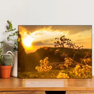 Starboy Gallery Sunset Amazing 156 Tableau