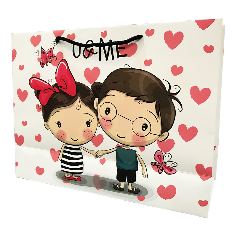 ساک هدیه مدل D001