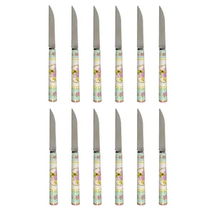 کارد میوه خوری دی ام جی مدل ROYAL-T بسته 12 عددی