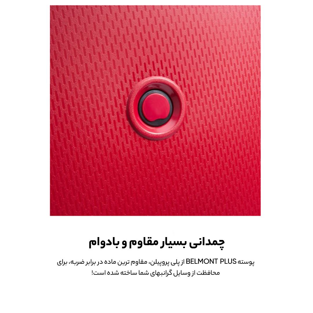 چمدان دلسی مدل بلمونت پلاس کد 3861806 سایز کوچک - - 47