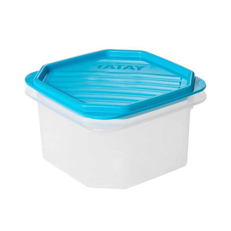 ظرف نگهدارنده تاتای مدل FLEX 0.6 کد 11601