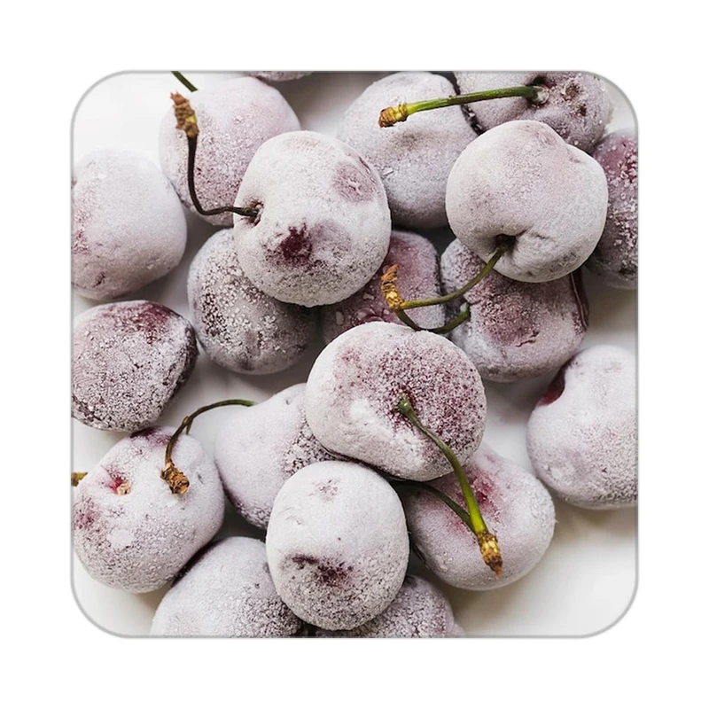 زیر لیوانی کاکتی طرح میوه مدل mp20933