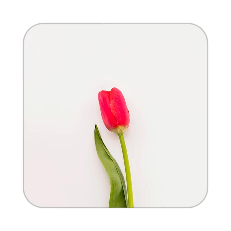 زیر لیوانی کاکتی طرح گل مدل mp17741