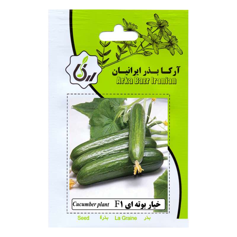 بذر  خیار بوته ای F1 آرکا بذر ایرانیان کد 198-ARK