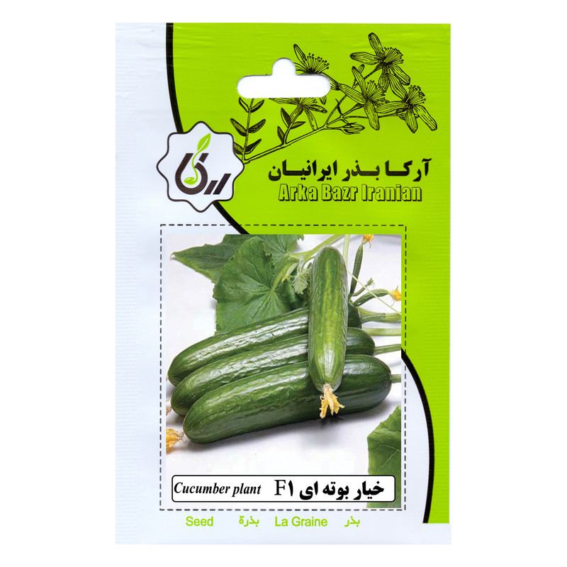 بذر  خیار بوته ای F1 آرکا بذر ایرانیان کد 198-ARK