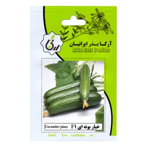 بذرخیار بوته ای f1 آرکا بذر ایرانیان مدل A54