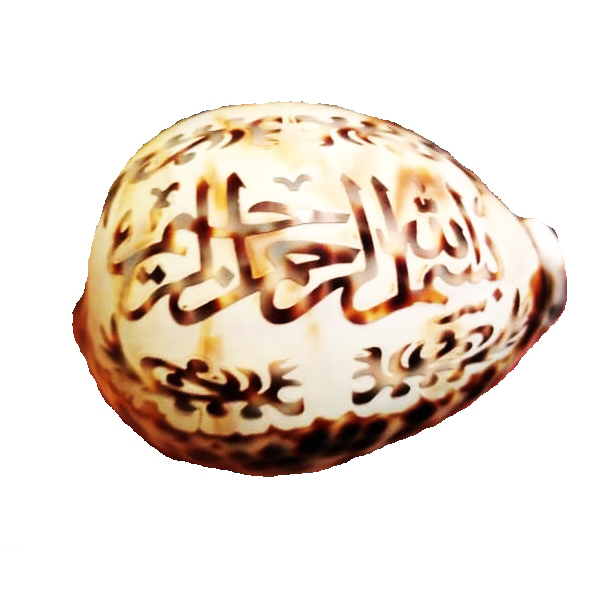 صدف تزئینی مدل HS104
