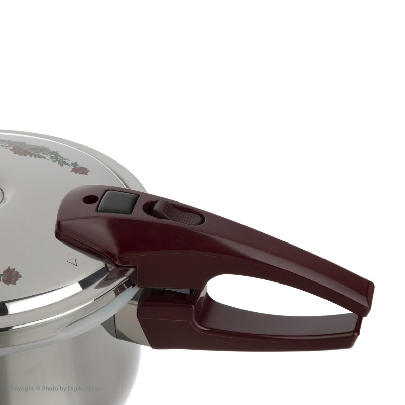 زودپز تفال مدل inox  گنجایش 11 لیتر