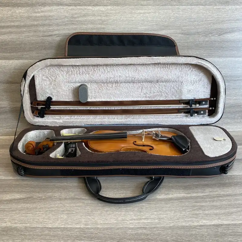 هاردکیس ویولن مدل MAGHSN