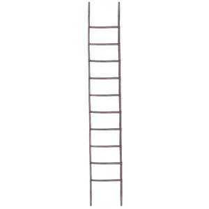 نردبان چابکی تی رکس مدل Force