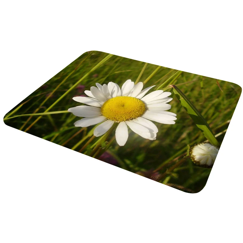 ماوس پد مدل S 1174 