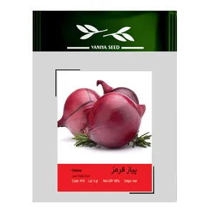 بذر پیاز قرمز وانیا سید کد H10